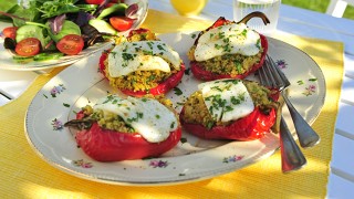 Moroccan Inspired Filled Peppers served on a floral plate on an outdiir table next to a bowl of salad