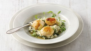 Curried Scallops with Cauliflower and Samphire Risotto served in a whie dish on top of a grey plate