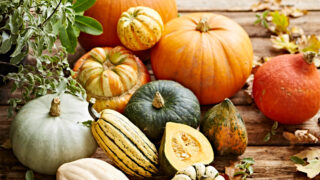 Close up image of a group of gourds