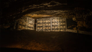 Image of large truckles of cheese sat in a cave to mature