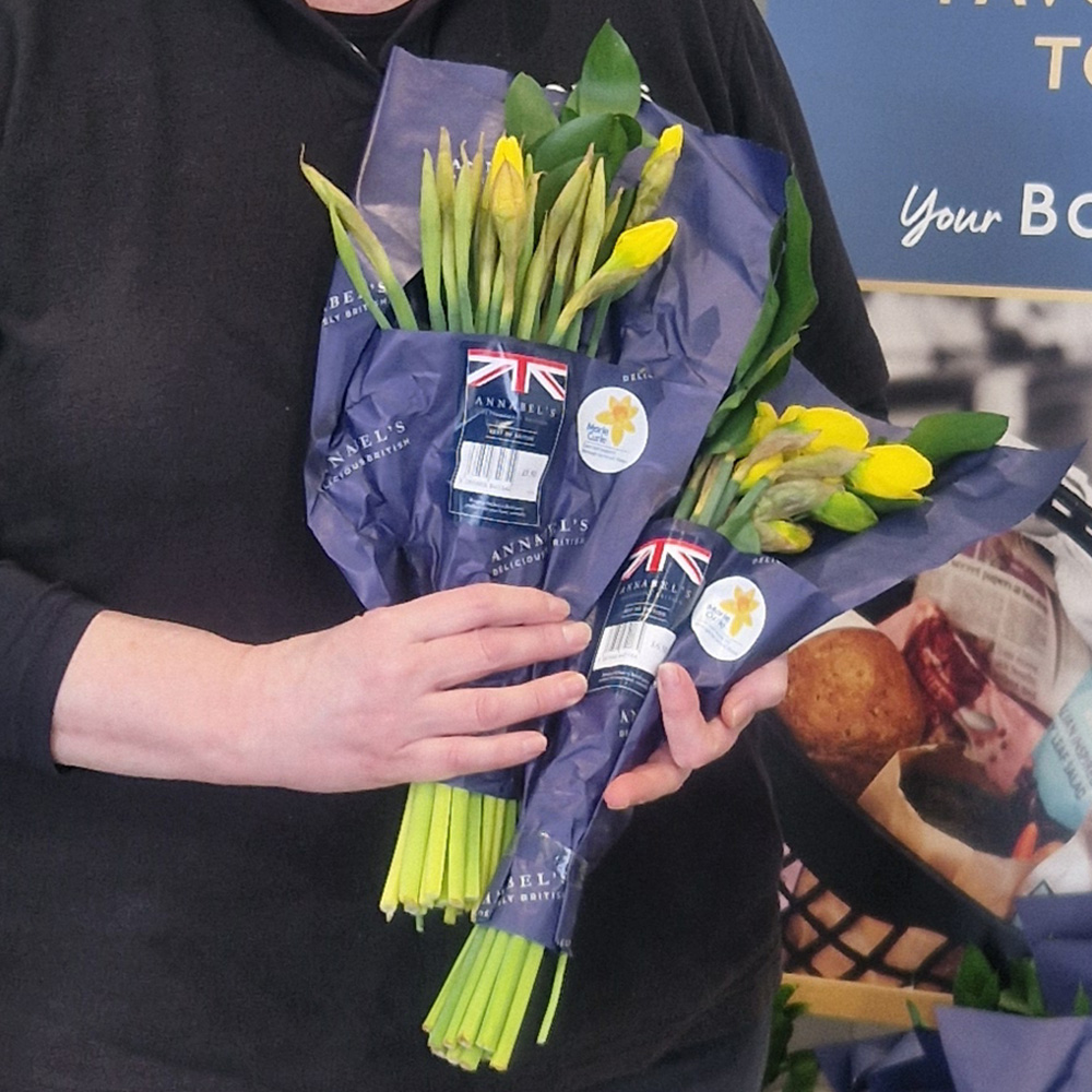 Annabel's Cornish Daffodils