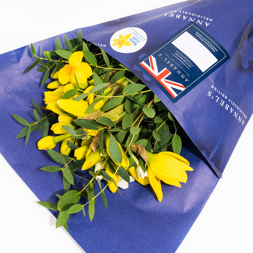Annabel's Daffodils