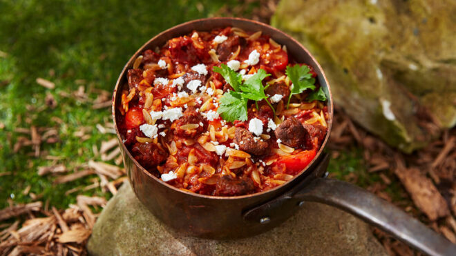 greek lamb and orzo stew