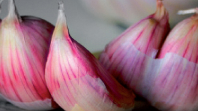 Lautrec-pink-garlic.jpg
