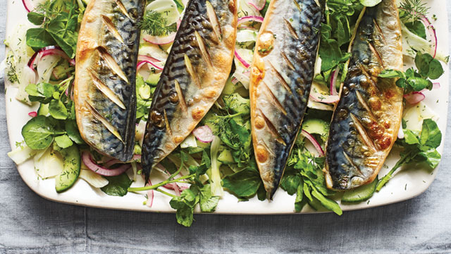 Grilled Mackerel served on a bed of watercress and red onion, on a white plate