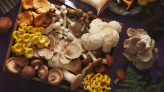 A mix of mushrooms including oyster, shiitake, button and more.
