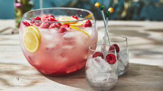 raspberry gin cocktail