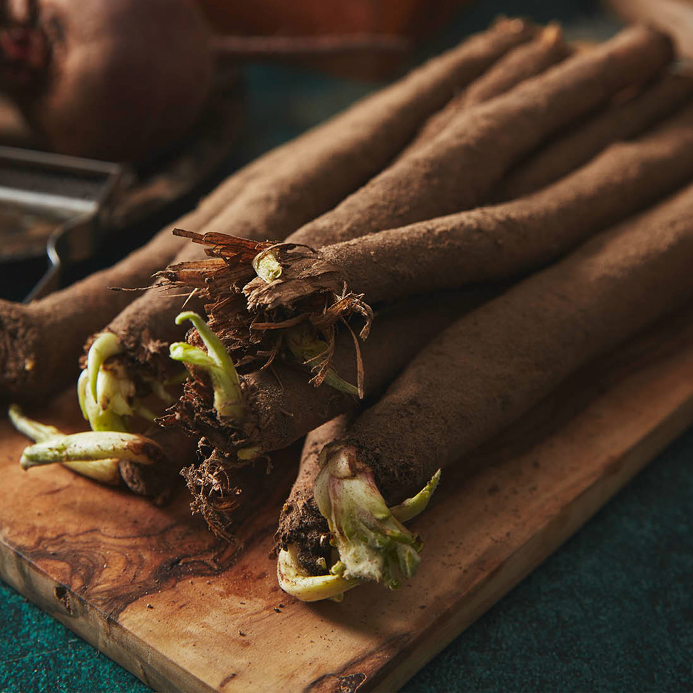 Close up image of salsify