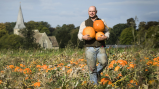 Photo of a man carrying 3 pumpkins through a pumpkin filed with a church in the background