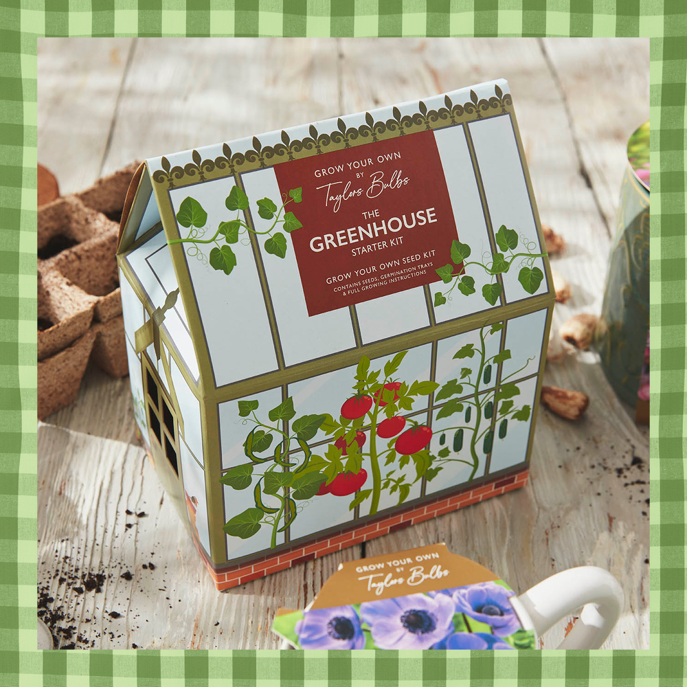 Vegetable Greenhouse Starter Kit