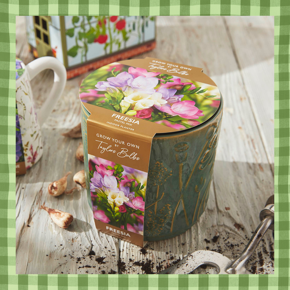 Embossed Floral Ceramic Freesia Pot