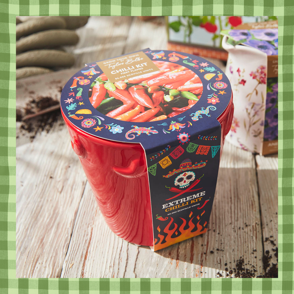 Indoor Extreme Chilli Kit