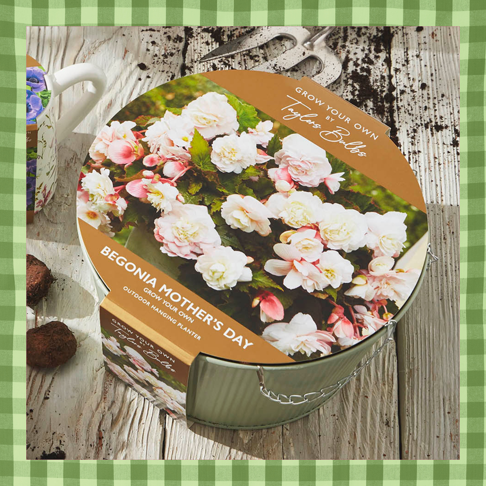 Outdoor Hanging Basket Kit