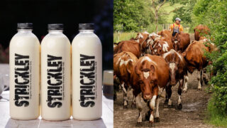 An image of 3 bottles of Strickley Milk lined up next to an image of James Robinson and his Dairy Shorthorn Cows