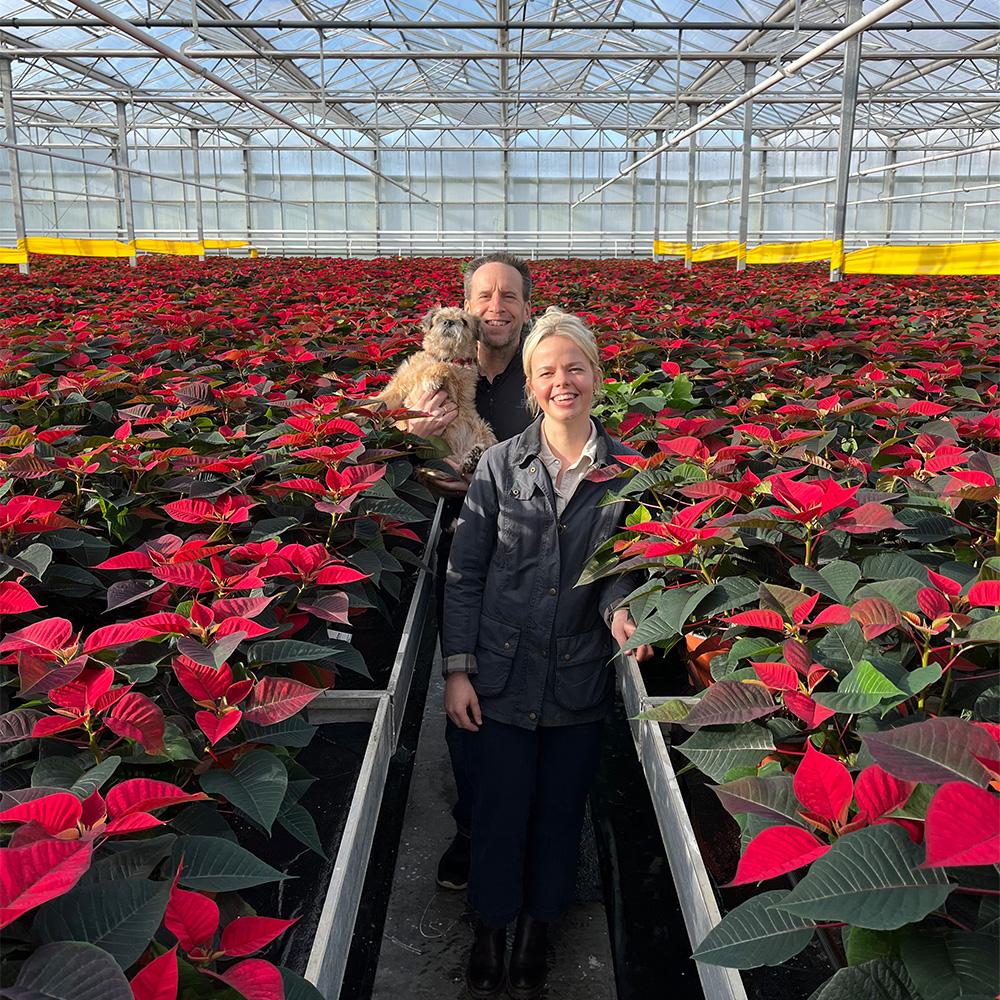 An image of 2 people and a dog in a greenhouse of poinsettias