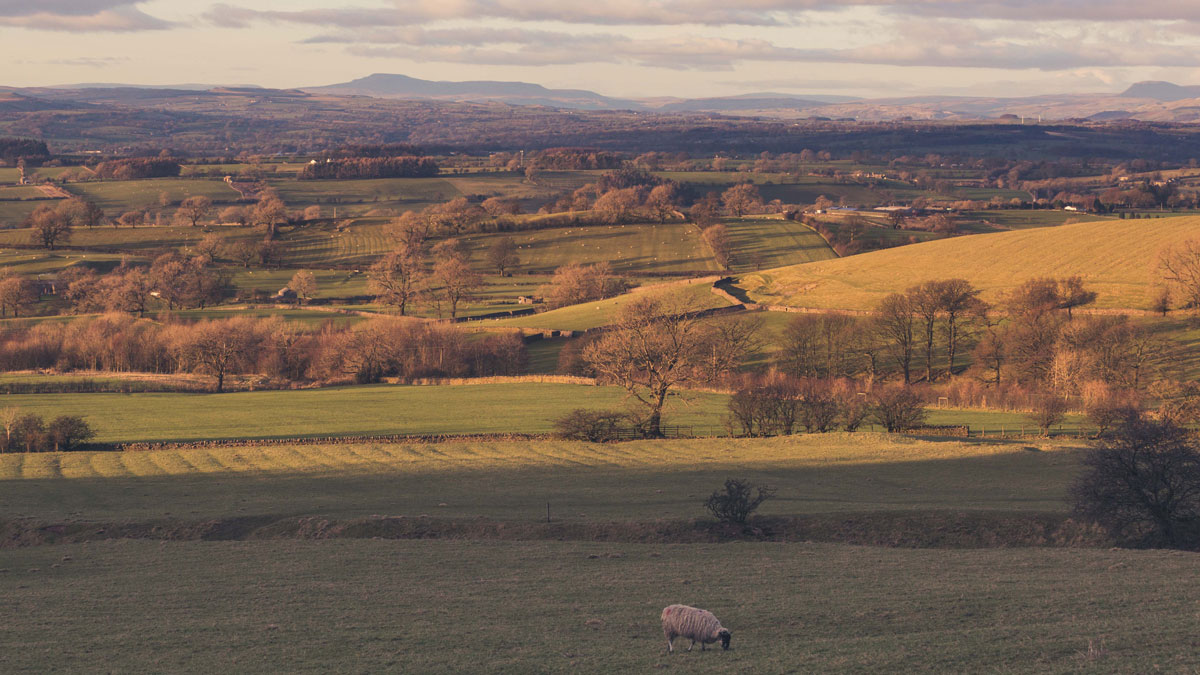 Ribble Valley