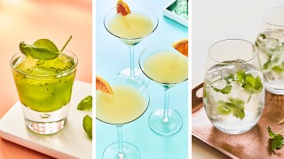 Summer Time Gins, served in a range of glasses and with a range of garnishes