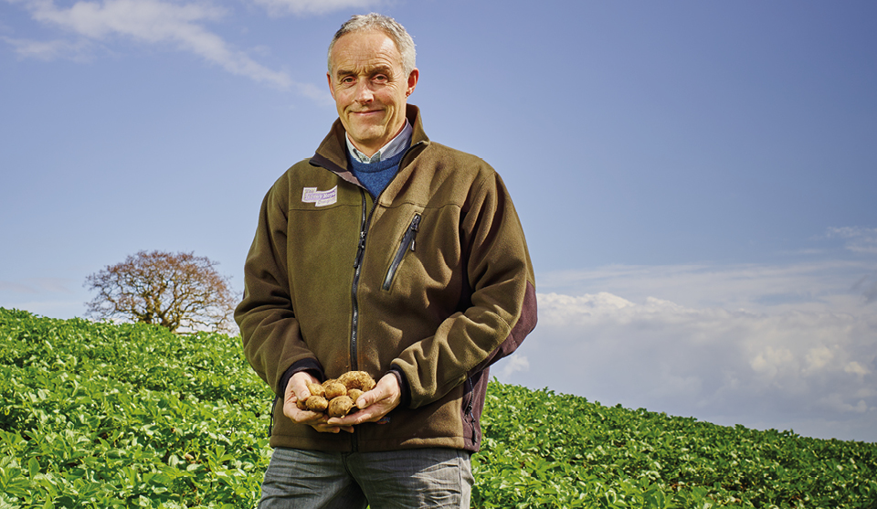 Jersey Royals Glen Hamel