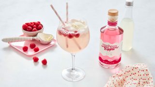 Raspberry Ripple Gin Float served in a gin glass, with Shelly's raspberry ripple, fresh raspberries and an ice cream scoop